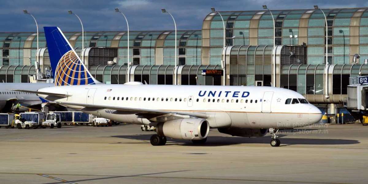 Breeze Airways AKL Terminal+1-888-839-0502