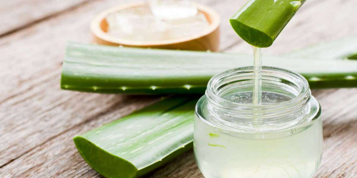 Aloe Vera Gel Manufacturing Plant Cost 2025: Project Report, and Manufacturing Process