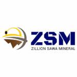 zillion sawaminerals Profile Picture