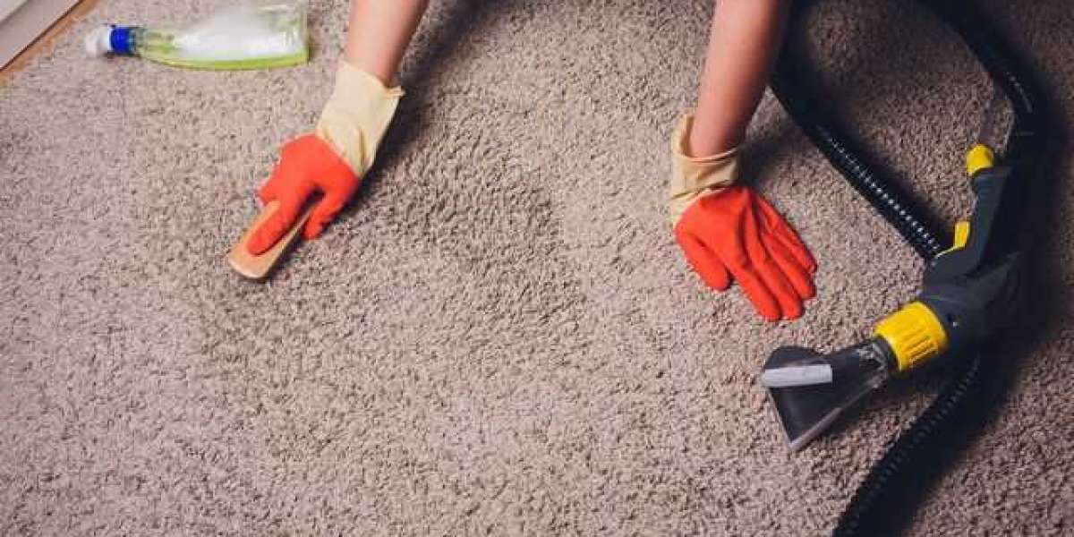 Transform Your Home with Carpet Cleaning Services in Naples