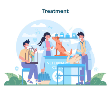 Facts You Didn’t Know About Reiki Healing for Dogs! | by Animalreikiplanet | May, 2025 | Medium
