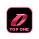 Toponegame Apk Profile Picture