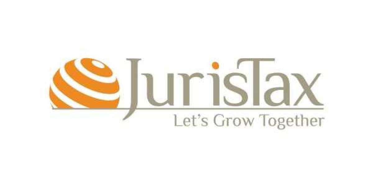 Holding Company Setup Services by JurisTax