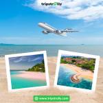 Tripstrolly Travel Profile Picture