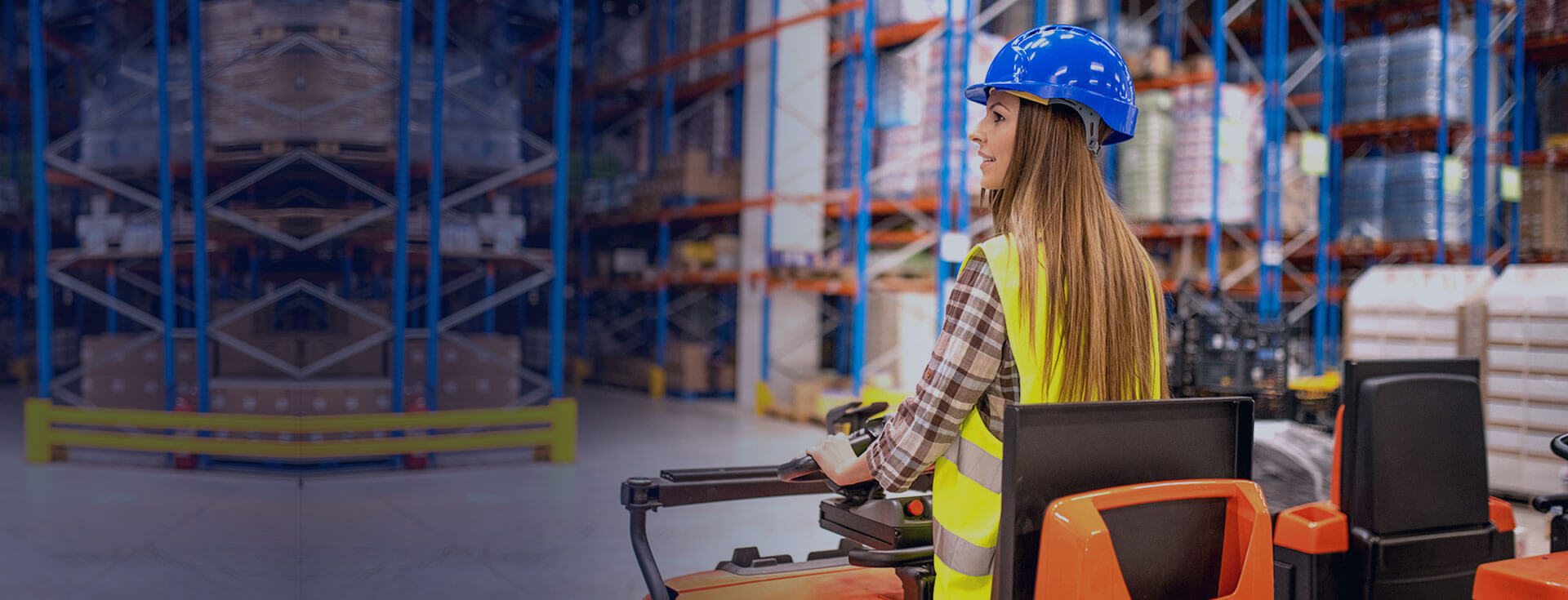 Real-Time Courier Tracking - Sonali Express Worldwide