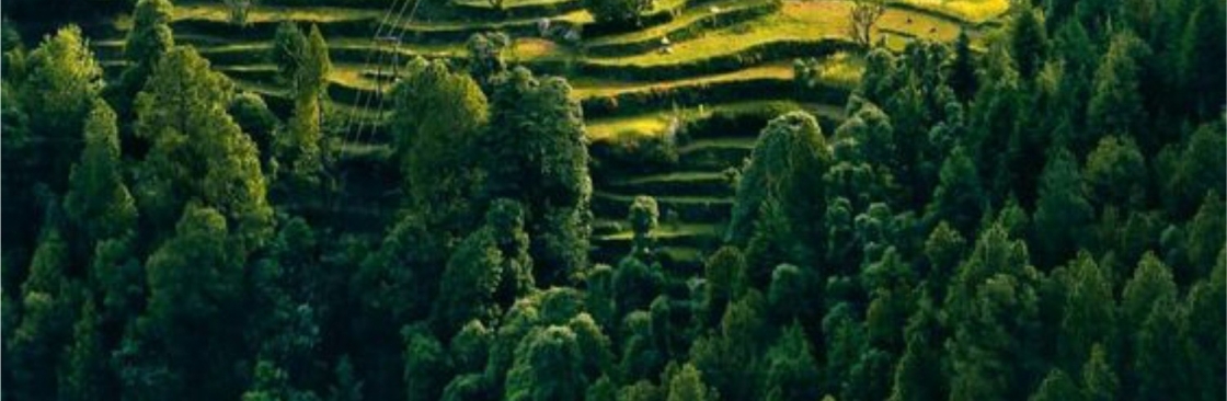 Journey of Himalaya Cover Image