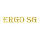 Why Digital Security Is a Top Priority for Singaporean Businesses in 2025 | by Ergo SG | Jun, 2025 | Medium