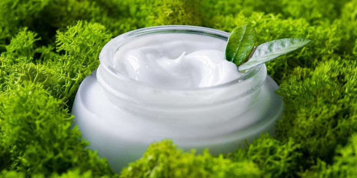 Natural & Organic Cosmetics Manufacturing Business Plan 2025: Setup Cost, Project Report