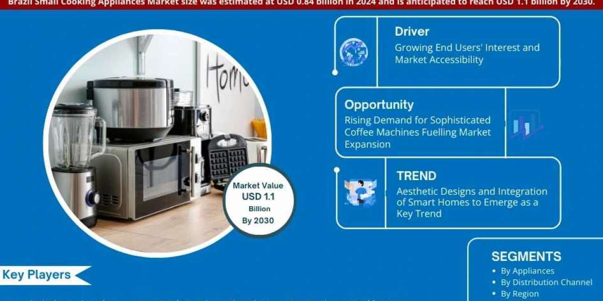 Brazil Small Cooking Appliances Market Player Analysis and Growth Opportunities - 2030