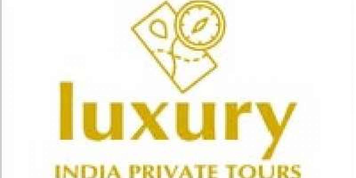 Discover the Magic of India: Best Experiences on Luxury India Tours