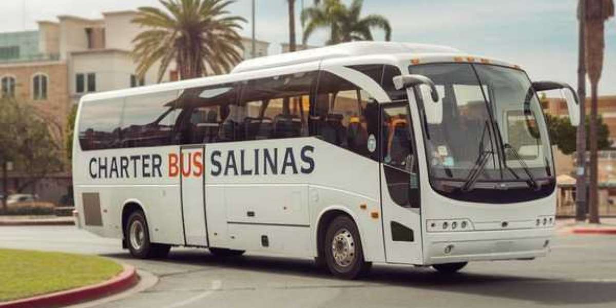 28-passenger bus rental Salinas available for parties and excursions