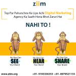 ziim tech Profile Picture