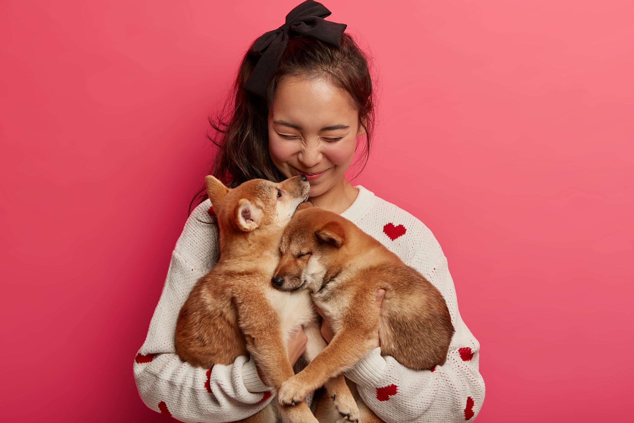 Distant Reiki Meditation to Support Sensitive Animals