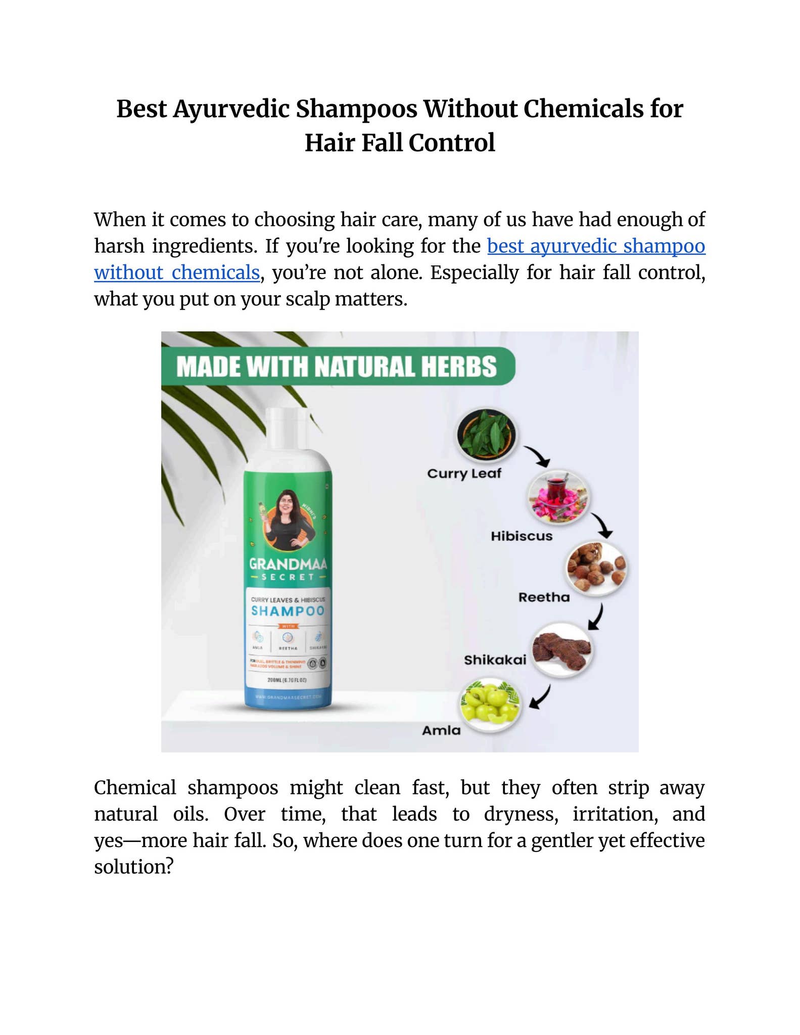 Best Ayurvedic Shampoos Without Chemicals for Hair Fall Control