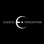 Elastic Perception Profile Picture