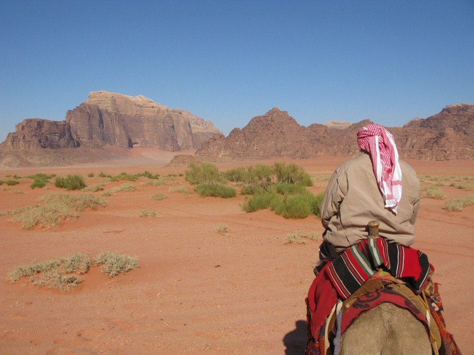 Health Requirements for Saudi Arabia Visa