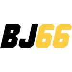 Bj66 netz Profile Picture