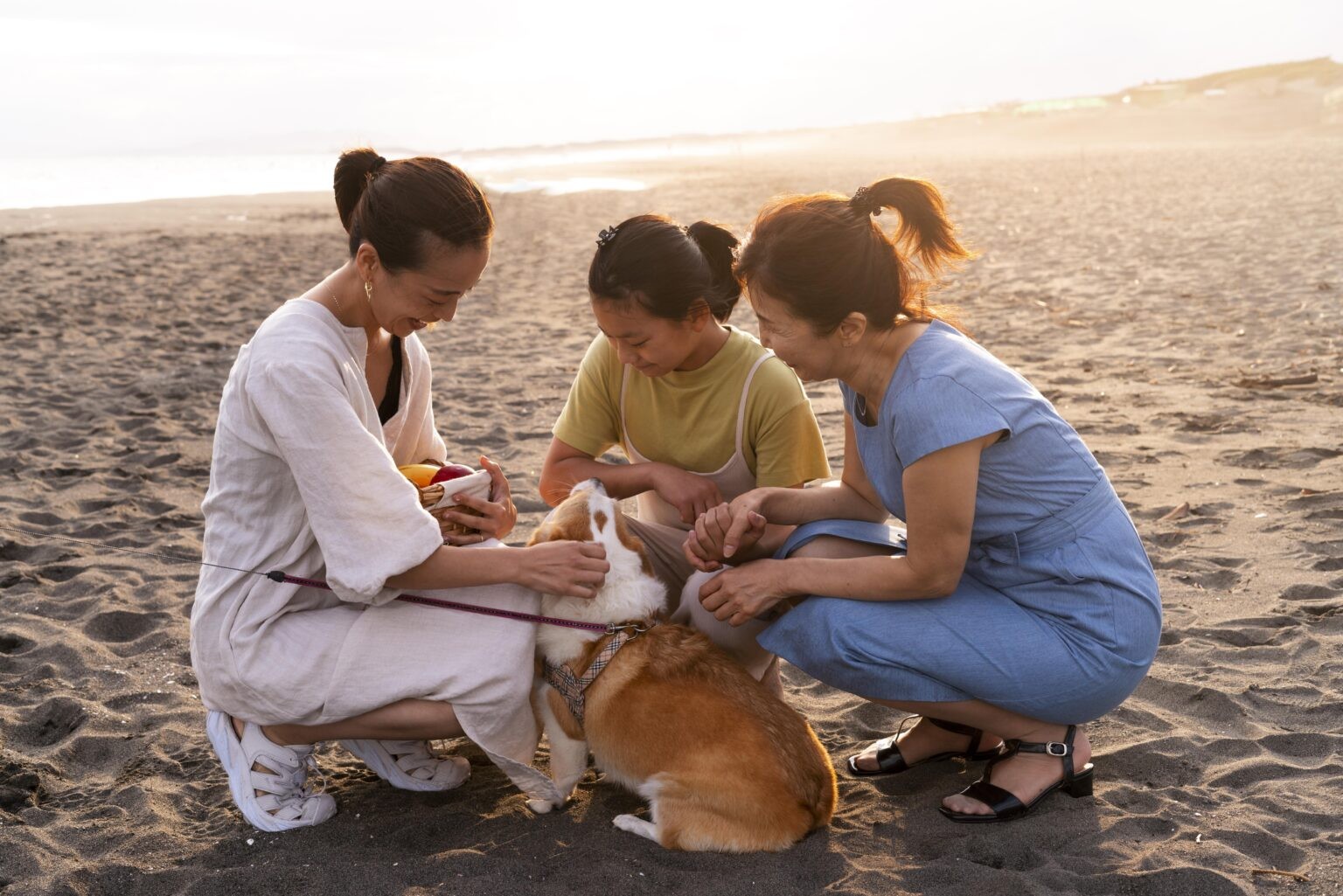 Ways Reiki Healing Treatment for Animals Can Improve Pet Behavior and Mood!