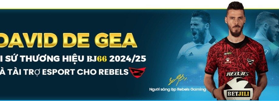 Bj66 netz Cover Image