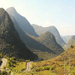 tvpalmga Profile Picture