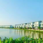 Belhomes Hải Phòng Profile Picture