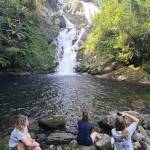 tvpalmld Profile Picture