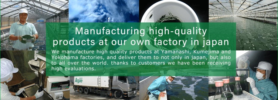 Tảo Xoắn Japan Algae Cover Image