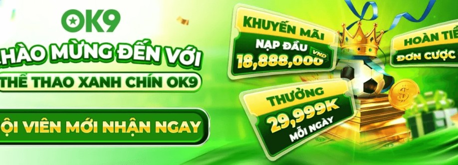 ok9vnapp ok9vnapp Cover Image