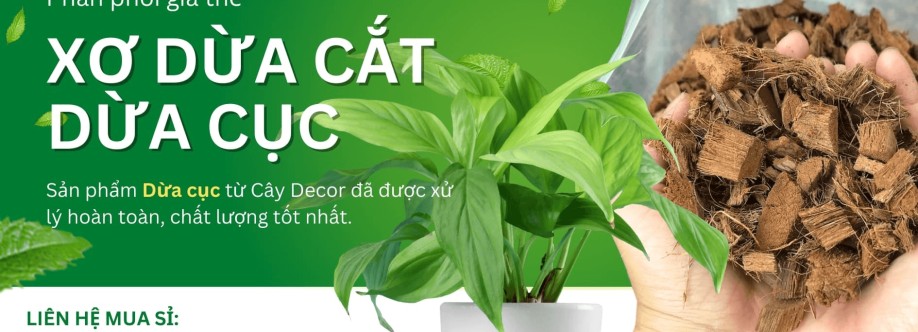 giatheduacuc caydecor Cover Image