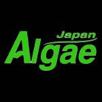 Tảo Xoắn Japan Algae Profile Picture