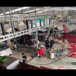 Nguyễn Đông profile picture