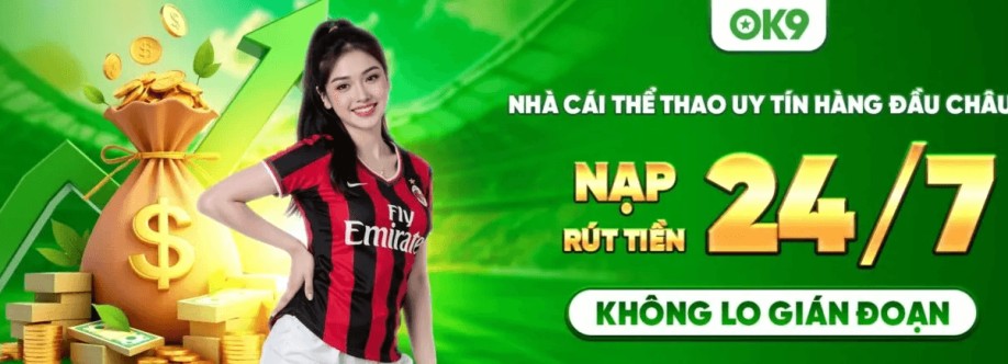 ok9vndev ok9vndev Cover Image