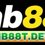 hb88t dev Profile Picture