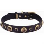 Dog Toys Profile Picture