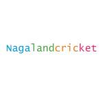 Hiệp hội Cricket Nagaland Profile Picture
