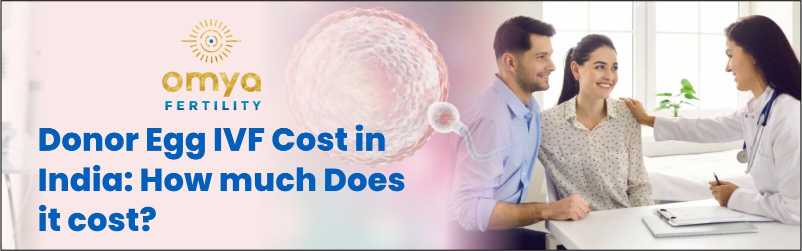 Donor Egg IVF Cost in India: How Much Does It Cost? | Omya