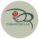 Dubai Roses Profile Picture