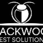 Black Wood Pest Solutions Pest Solutions Profile Picture