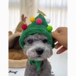 Md Niaj Ali Profile Picture