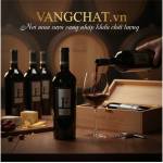 vangchatbr Profile Picture