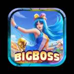 bigboss01 bigboss01 Profile Picture