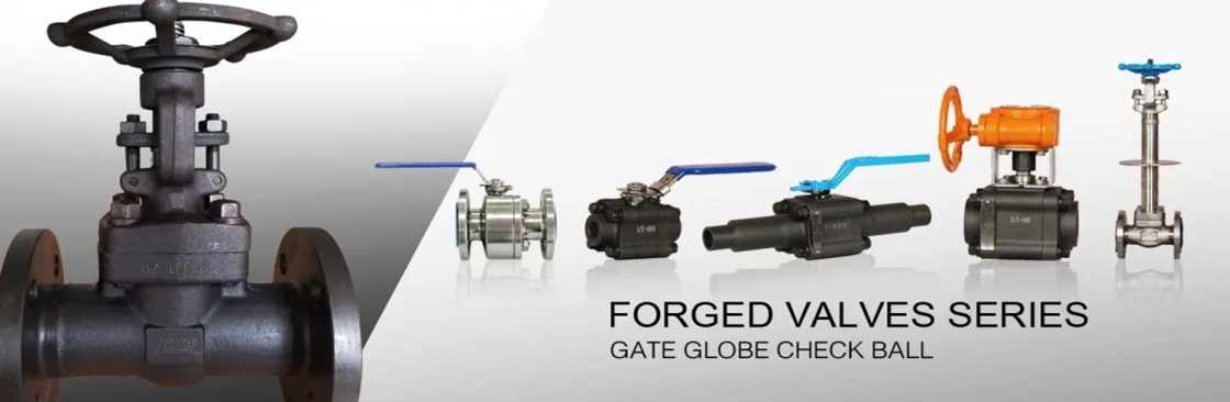 China Forged Valves Cover Image