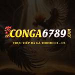 Conga6789 Cam Profile Picture