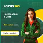 lotus 365 Profile Picture