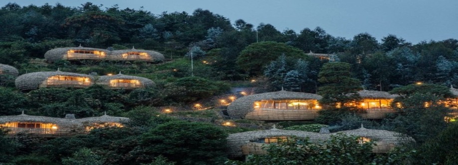 Beyond the plains safaris Cover Image