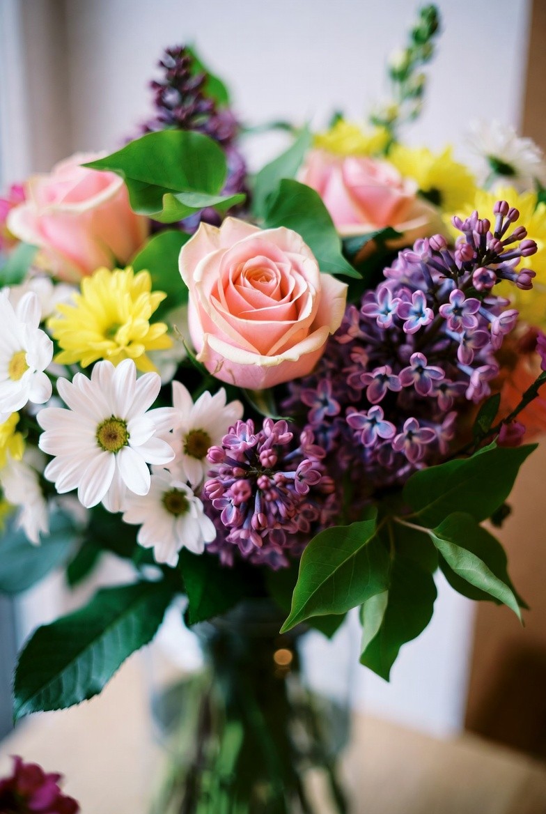 Black Petals Profile Picture