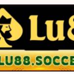 Nhà Đài Lu88 Profile Picture