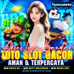 anatorroja Profile Picture