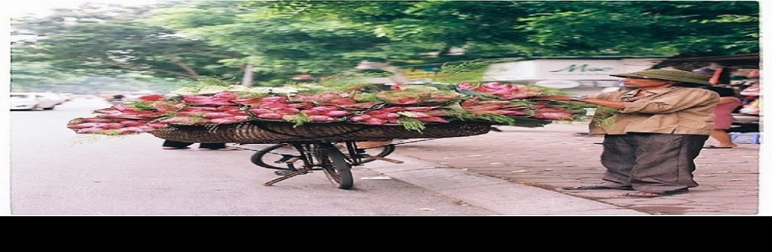 INSCENTIVE LLC Cover Image