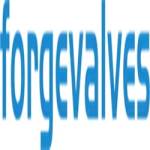 China Forged Valves Profile Picture